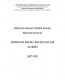 FUNDAMENTOS TEÓRICOS DEL MODELO DE OFERTA Y DEMANDA