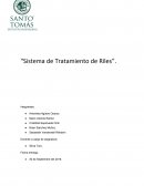 Sistema de Tratamiento de Riles
