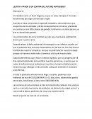 Caso de un futuro matadero desde perspectiva accionista