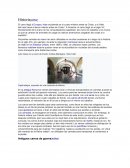 Cupé antiguo, expuesto en una hacienda de México.