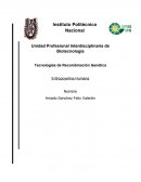 Tecnologías de Recombinación Genética