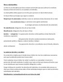 La ética es una disciplina que busca razones universales que para adecuar la conducta humana al bien del universo, la sociedad y el individuo.