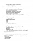 ¿columna por las que está constituido el macizo carpiano?