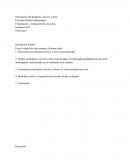 Descripción del producto, servicio o bien