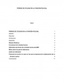 PERROS DE UTILIDAD EN LA FUNCIÓN POLICIAL