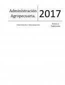 Tubérculos: son un tipo de tallos engrosados que tienen ciertas plantas; son ricos en almidones y constituyen una reserva energética de la planta; se usa como semilla un trozo del producto.