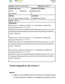 Fundamentos # 1 El comercio exterior en México