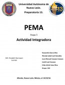 INTEGRADORA ETAPA 3 PEMA