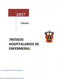 Sustantividad ambiental