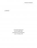 Introducción Profesional LA EMPRESA