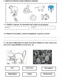 EVALUACION SUMATIVA DE CIENCIAS NATURALES