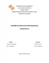 INFORME DE PRÁCTICAS PROFESIONALES (PASANTÍAS II) I. Página 1