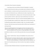 Critica histórica: Museo Nacional de Antropología