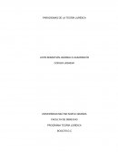 PARADIGMAS DE LA TEORÍA JURÍDICA