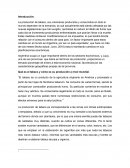 Economia del medio oriente PRODUCCIÓN DE TABACO