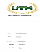 Tarea 3 Artículos 66 al 88 del actual código del comercio