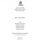 Trabajo de investigación del curso Presupuestos