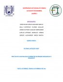 EFECTOS DE LA LLUVIAACIDA EN DIFERENTES MATERIALES INORGANICOS Y ORGANICOS