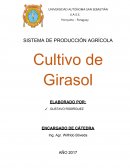 SISTEMA DE PRODUCCIÓN AGRÍCOLA GIRASOL