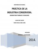 Reflexiones en torno a la gordura