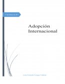 Adopcion Internacional
