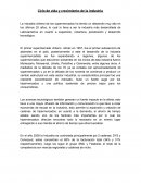 Ciclo de vida y crecimiento de la industria