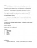 Informe de Psicologia Cerebro