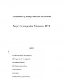 Conocimiento y manejo adecuado del internet Proyecto Integrador Primavera 2015