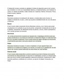 Una Cultura de calidad