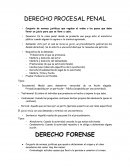 DERECHO PROCESAL PENAL - Apuntes