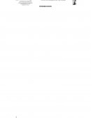 LOS MEDIOS IMPUGNATORIOS.