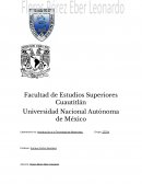 El microscopio Metalografico Introducción a la Tecnología de Materiales