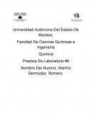 Química Practica De Laboratorio #6