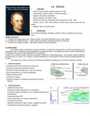 La celula. TEORIA CELULAR