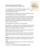 ENSAYO LIBRO CALIDAD Y PRODUCTIVIDAD.