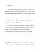 DISEÑO DE UNA PLANTA PILOTO PRODUCTORA DE JABON LIQUIDO DE SABILA (BARBADENSIS MILLER) DE USO CORPORAL