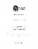 TRABAJO REDES A PRESIÓN ACUEDUCTOS Y ALCANTARILLADOS