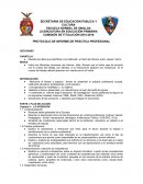 PROTOCOLO DE INFORME DE PRÁCTICA PROFESIONAL