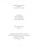 OBSERVACION Y ENTREVISTA MOMENTO 1 PLANIFICACION Y ANALISIS