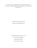 PLAN DE ACCION DE MEJORAMIENTO DEL PROCESO PRODUCTIVO DE BALETAS EN LA EMPRESA CREACIONES JMMY SHOES