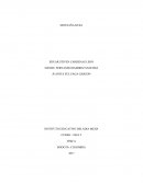 MONTAÑA RUSA PROYECTO