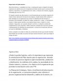 Importancia del plan maestro