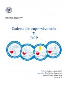 Cadena de supervivencia Y RCP