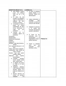 CASO BENETTON GROUP S.P.A.