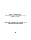 Influencia del tranvía Ayacucho y sus dos cables en el Alejandro Echavarría