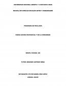 Acción psicosocial y comunidad