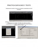 Duplicar un texto en AutoCad