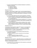 Fisiologia. Son las 2 principales familias de moléculas implicadas en la adhesión y migración de leucocitos