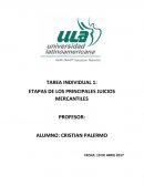 ETAPAS DE LOS PRINCIPALES JUICIOS MERCANTILES