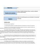 Analiza e identifica fenómenos físicos y químicos mediantes practicas experimentales